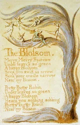 La fleur, planche 9 de Songs of Innocence, 1789